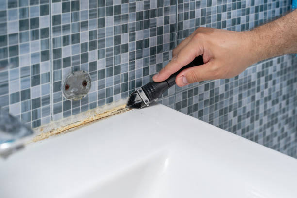 Best Commercial Mold Removal  in Mount Repose, OH